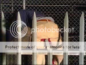 ai como d&oacute;i 2