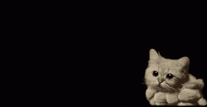 lookslikeanothercloudycaturday_zps33832ad3.gif
