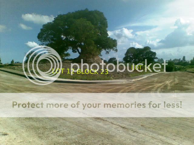 BLOCK23a.jpg BLOCK23a