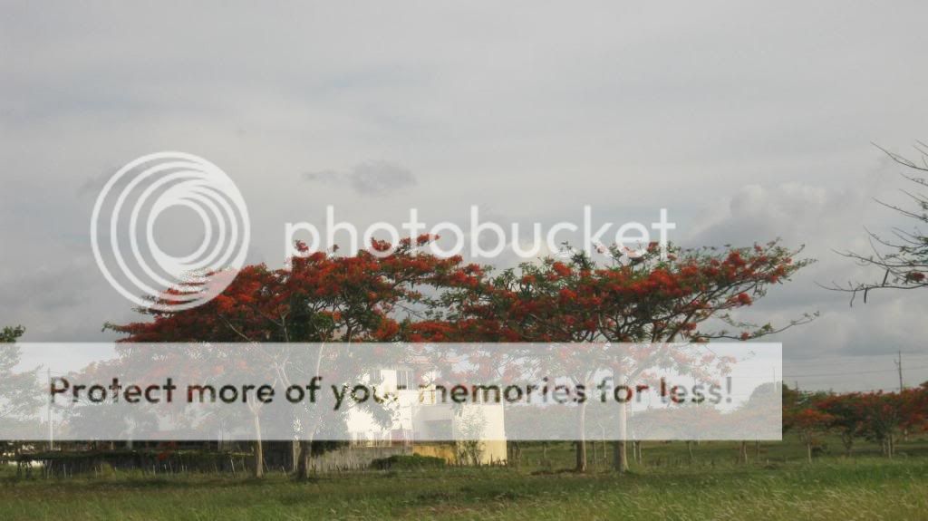 BLOCK7b.jpg picture by chonaravidas