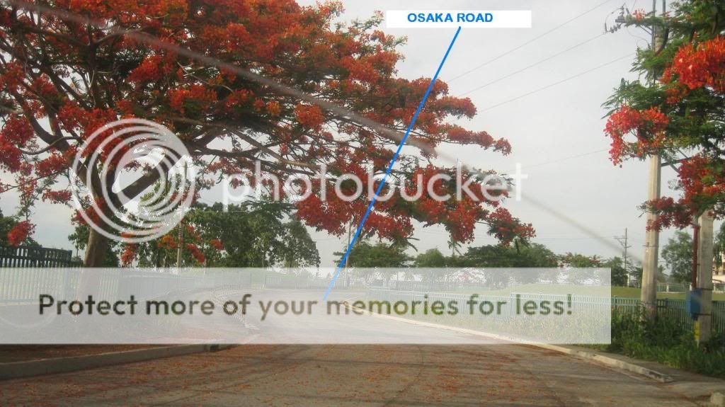 OSAKAROAD1.jpg picture by chonaravidas