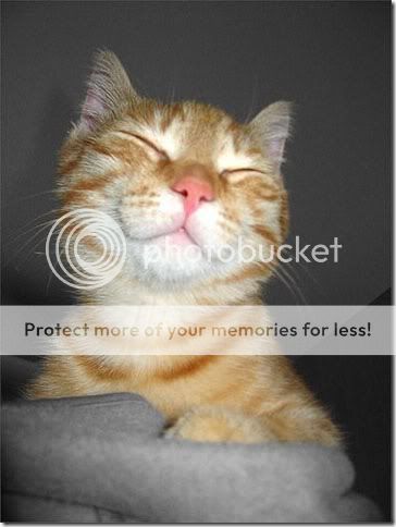 Smiley Pictures, Images and Photos